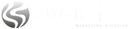 Evomist-Logotipo-web